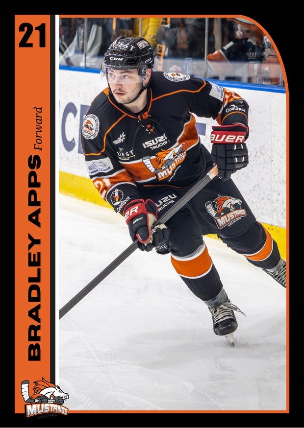 Player Trading Cards
