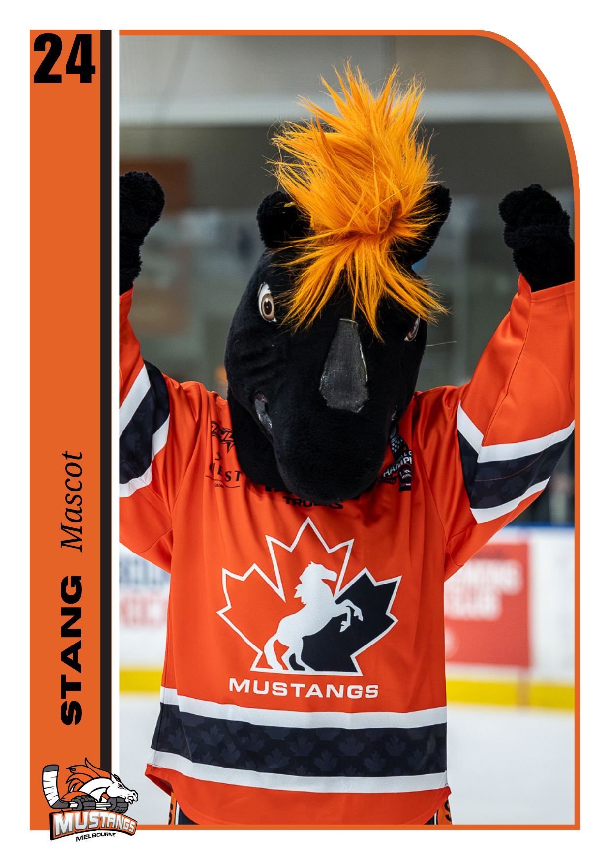 BONUS SET Player Trading Card