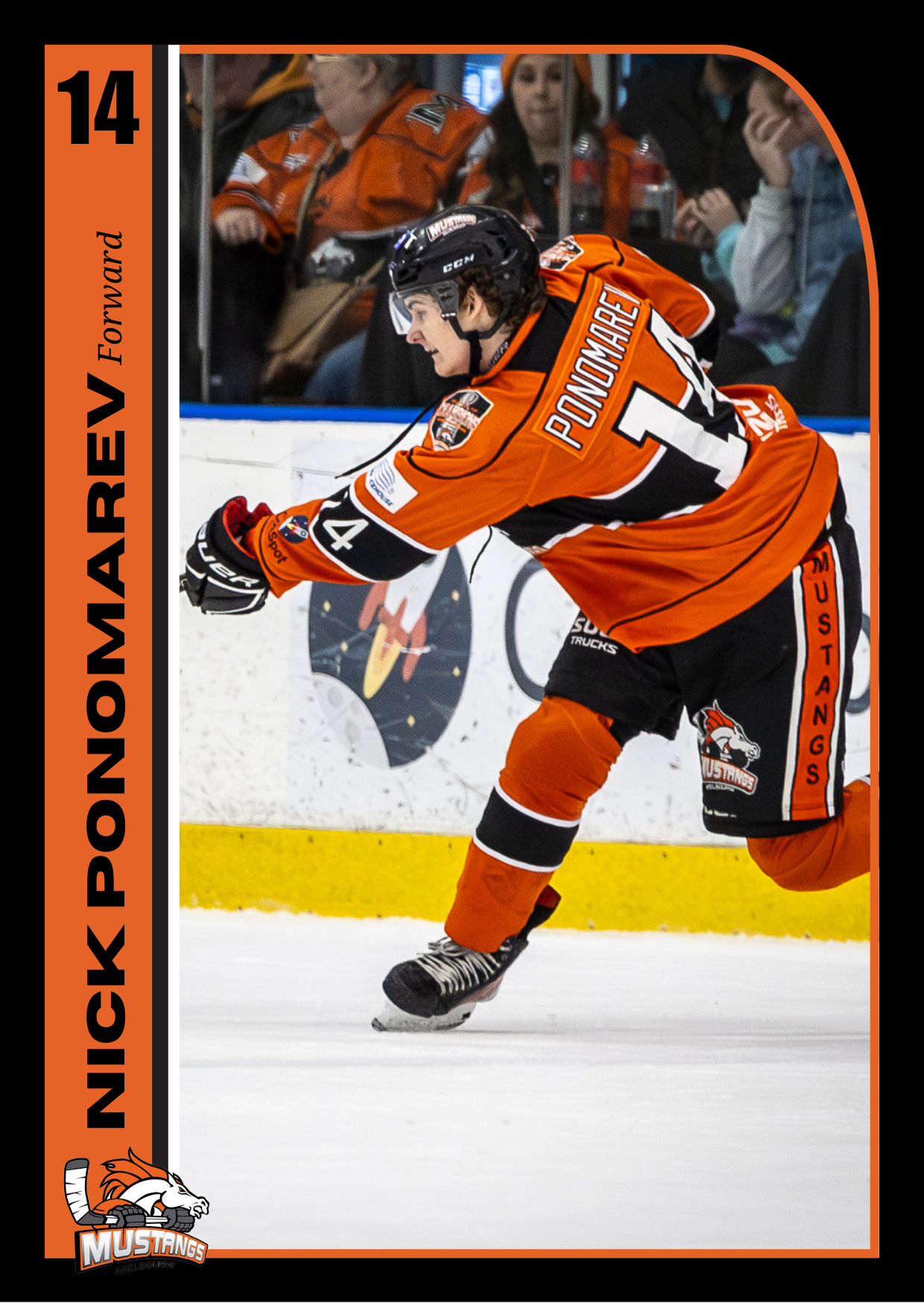 Player Trading Cards