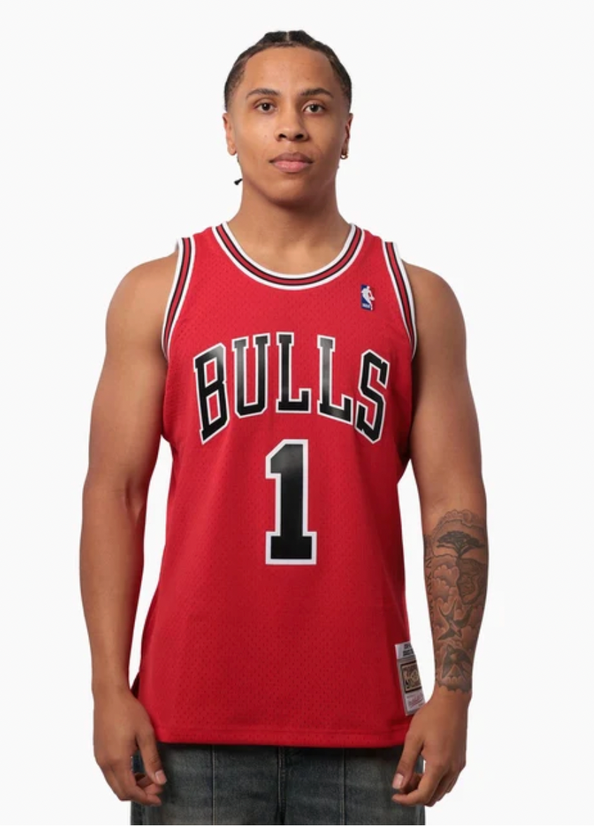 2008 BULLS ROSE JERSEY