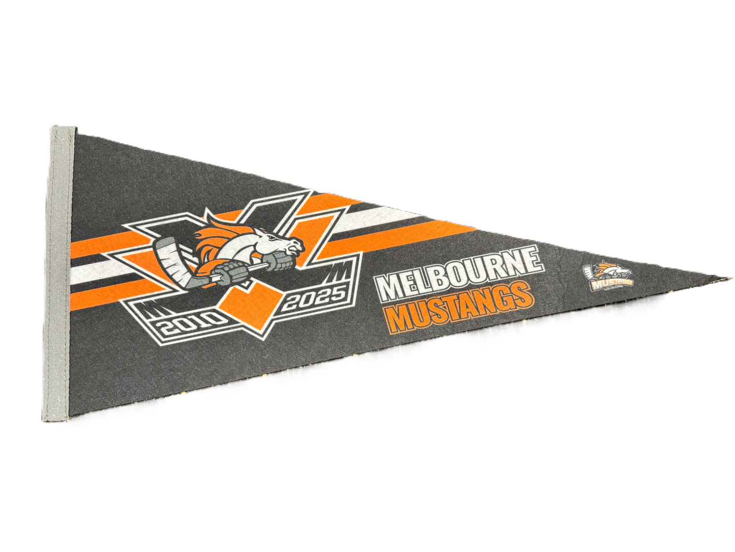 15 YR Pennant Flag