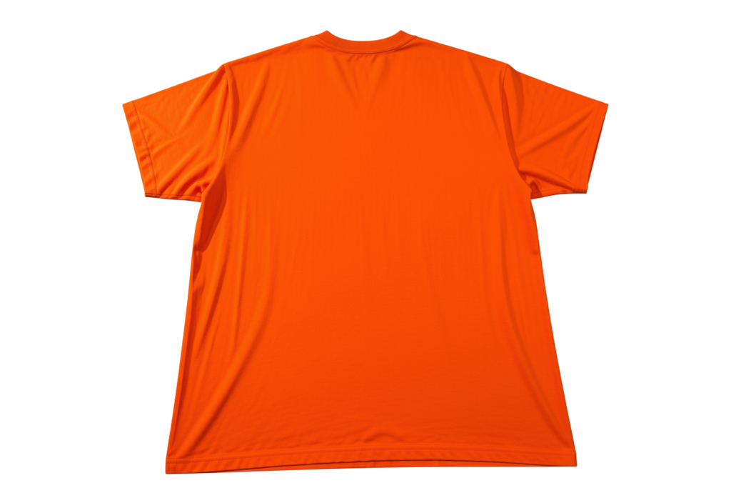 CLEMSON T-SHIRT