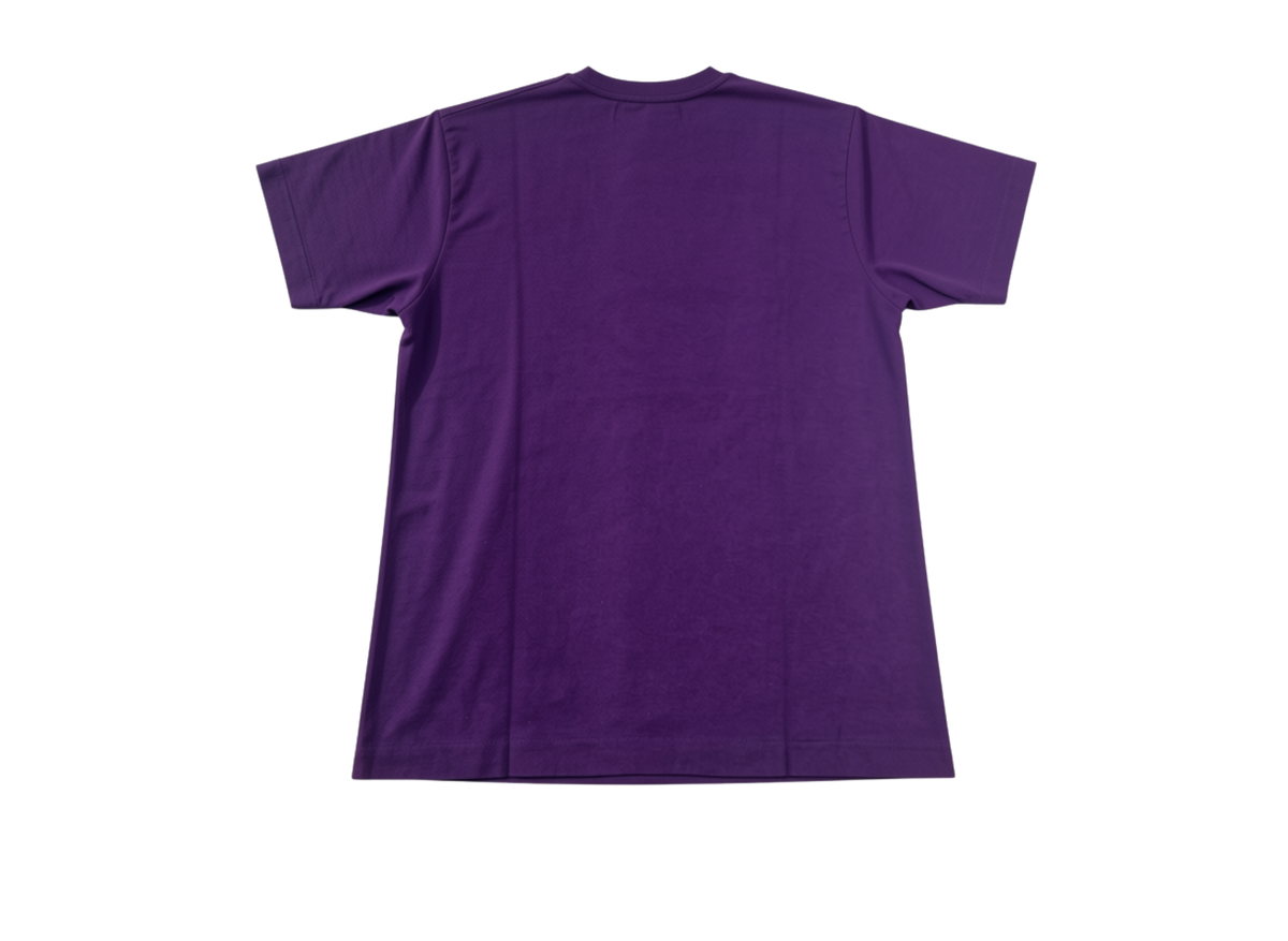 KNOX COLLEGE T-SHIRT