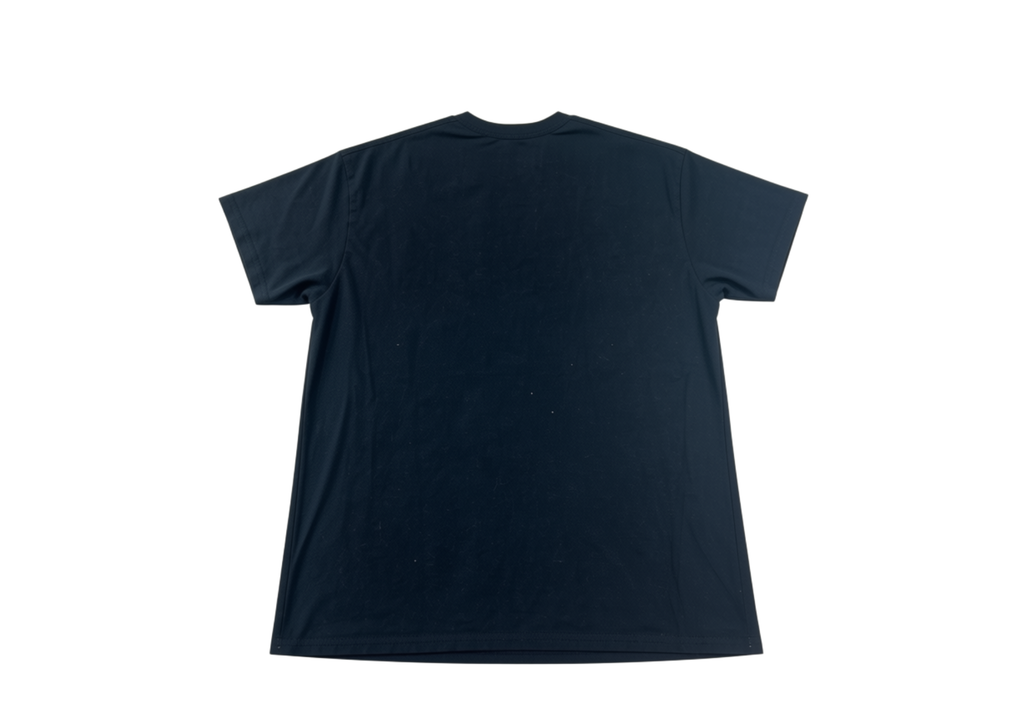 ILLINOIS STATE T-SHIRT