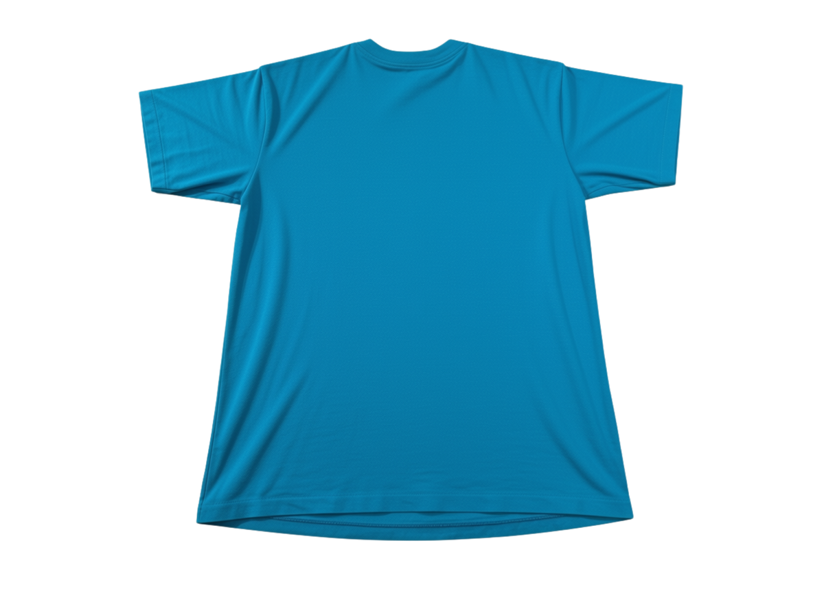 MIAMI DOLPHINS RETRO T-SHIRT