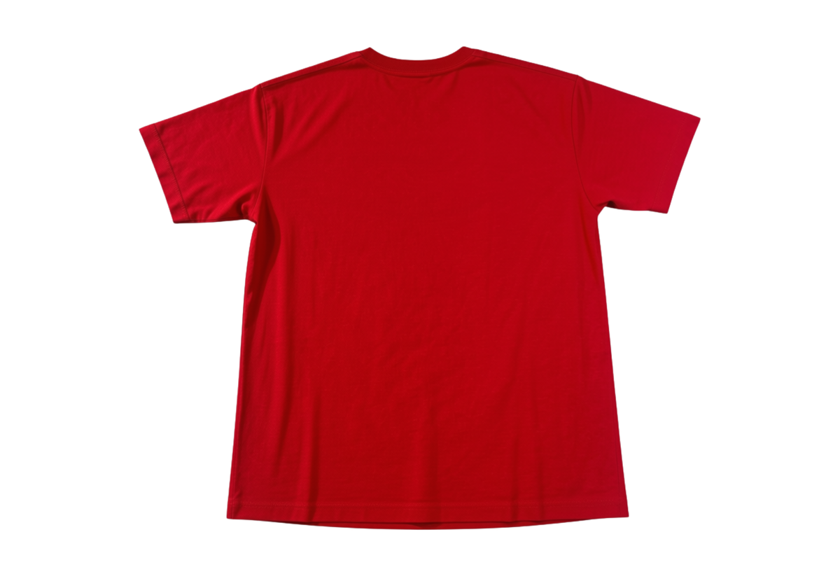 LAKE COUNTY RETRO T-SHIRT