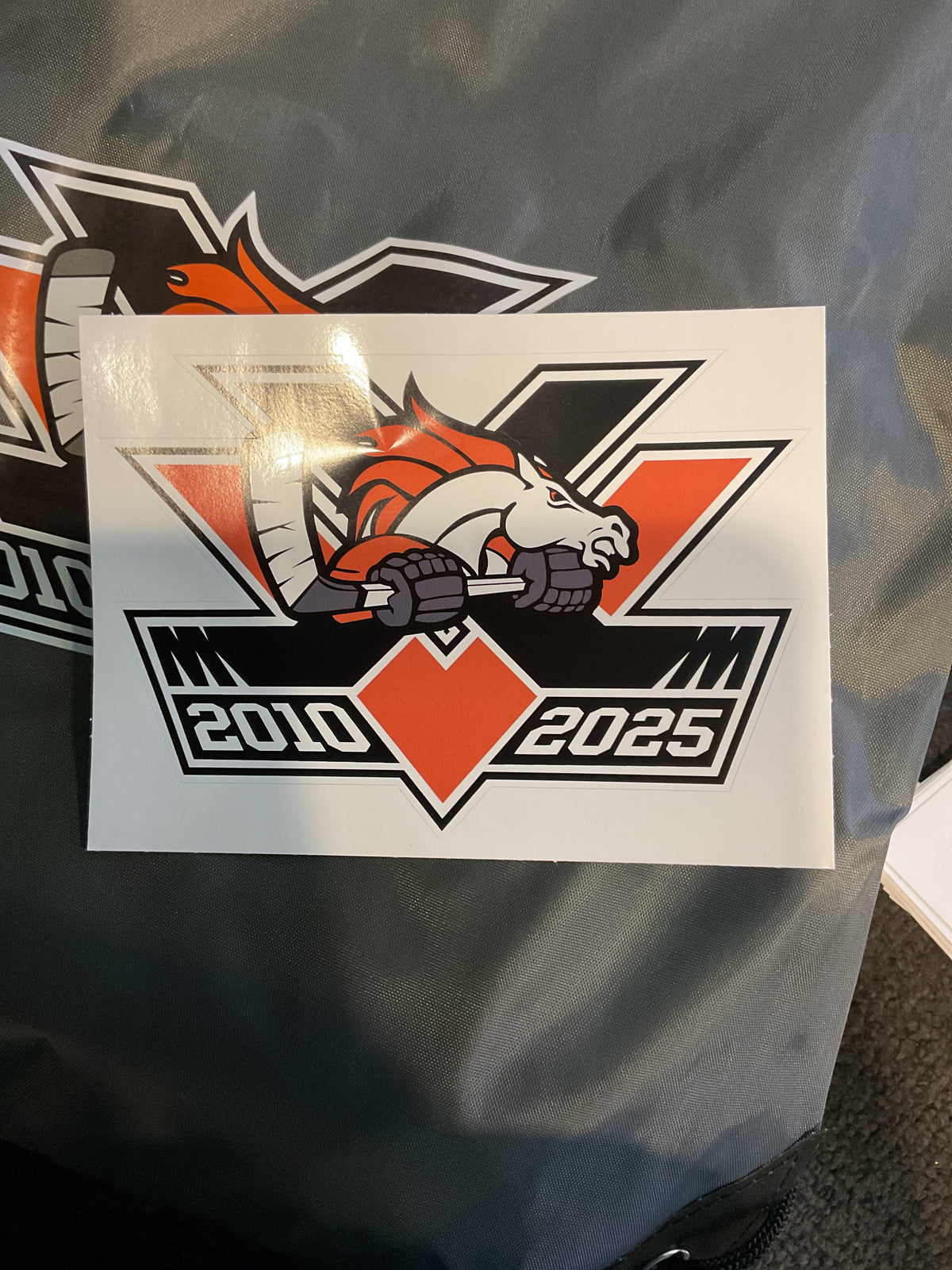 Car DECAL 15 YR Logo Sticker