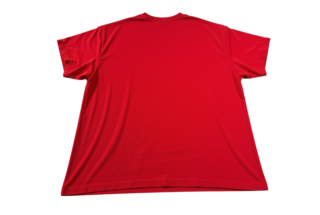 ILLINOIS STATE VINTAGE T-SHIRT