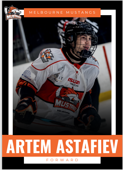 2025 Player Trading Cards
