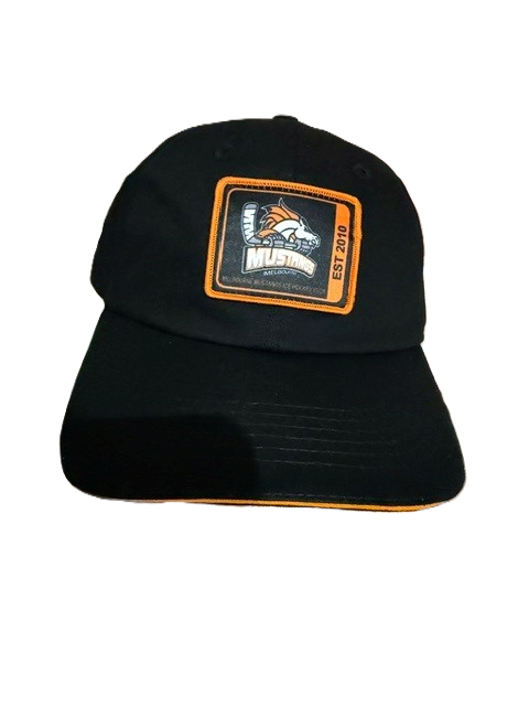 Badge Cap