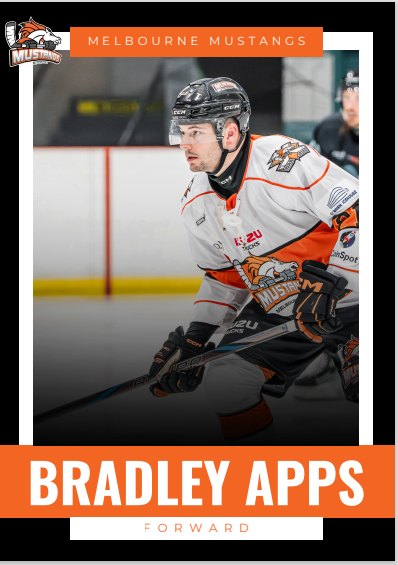 2025 Player Trading Cards