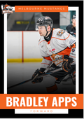 2025 Player Trading Cards