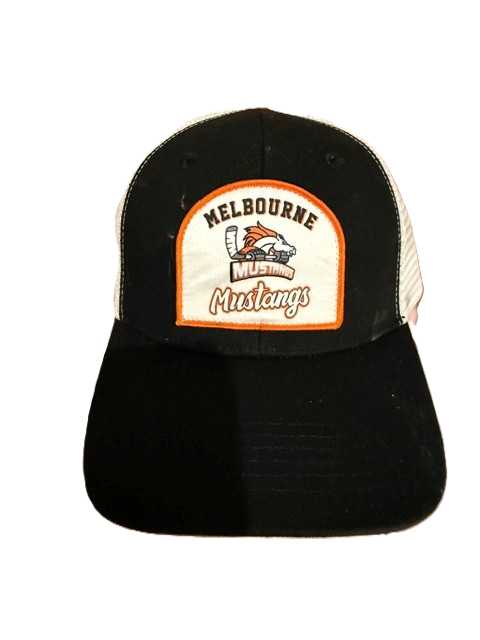 Attacking Zone Mesh Cap