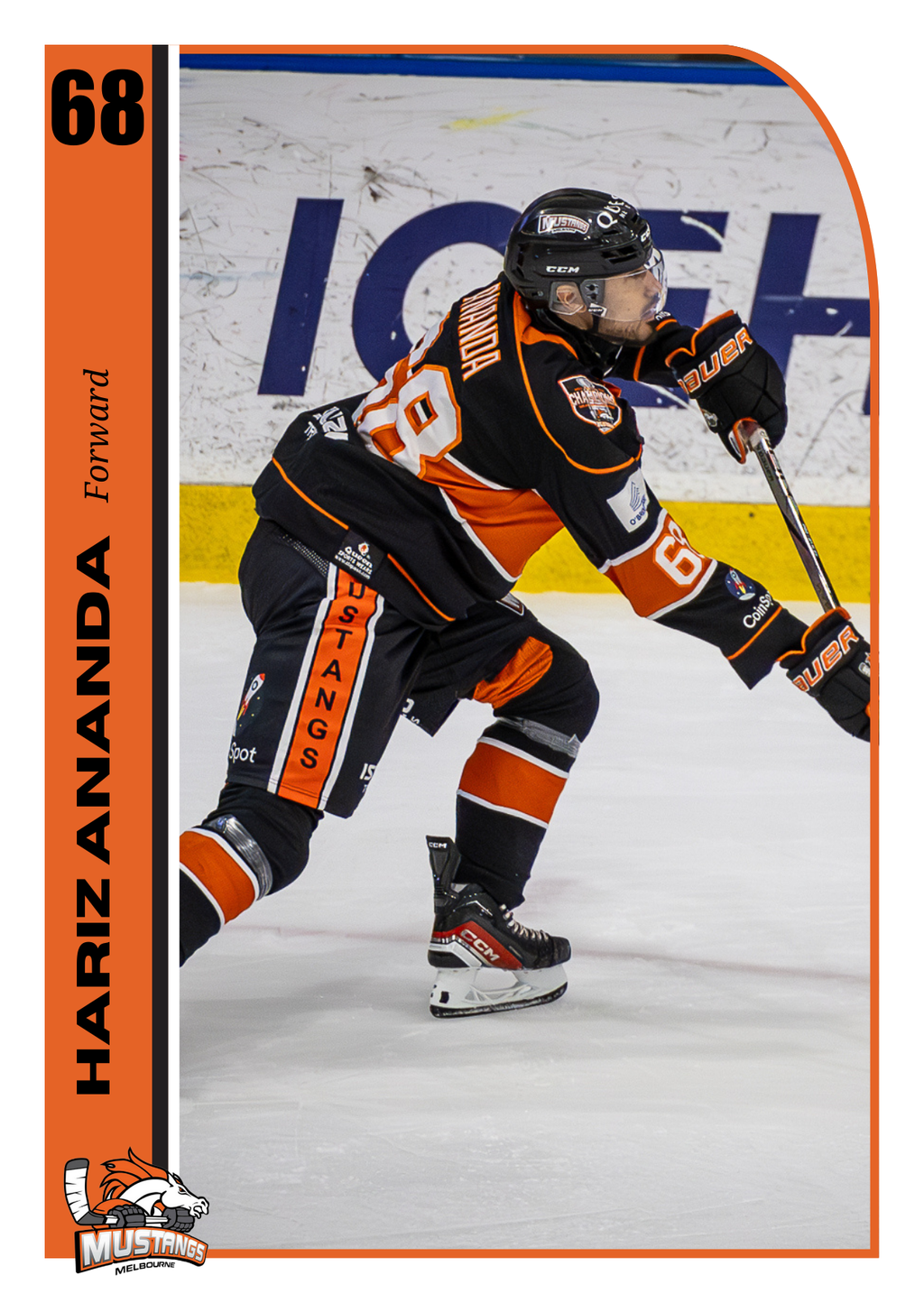 Player Trading Card COMPLETE SET with Bonus Set