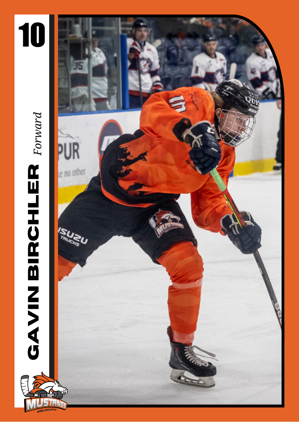 Player Trading Card COMPLETE SET with Bonus Set