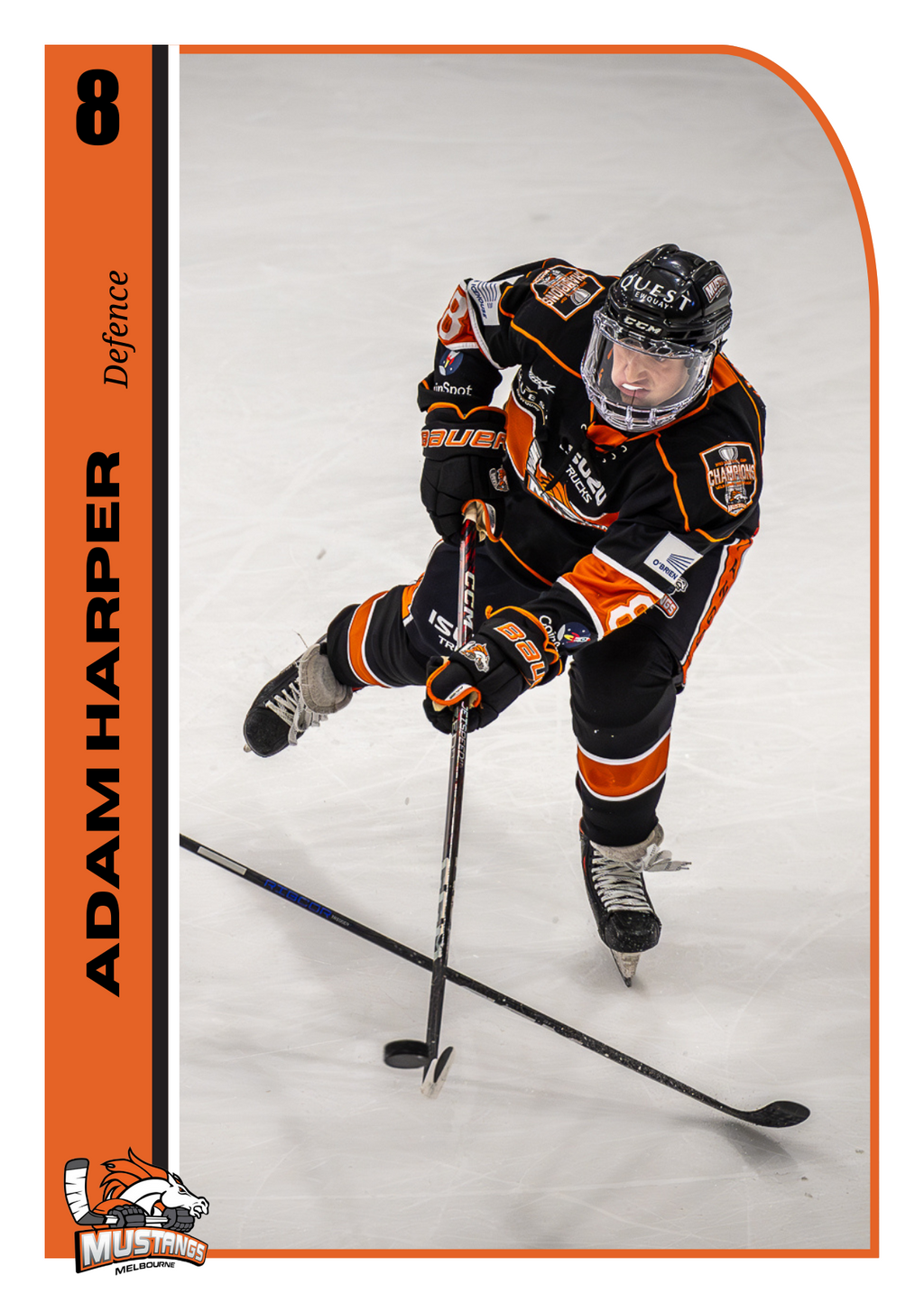 Player Trading Card COMPLETE SET with Bonus Set