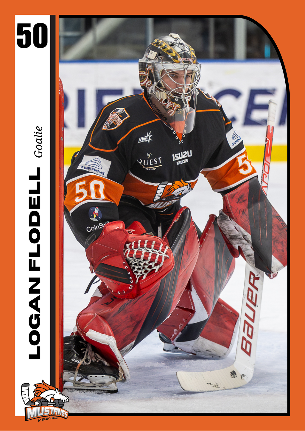 Player Trading Card COMPLETE SET with Bonus Set