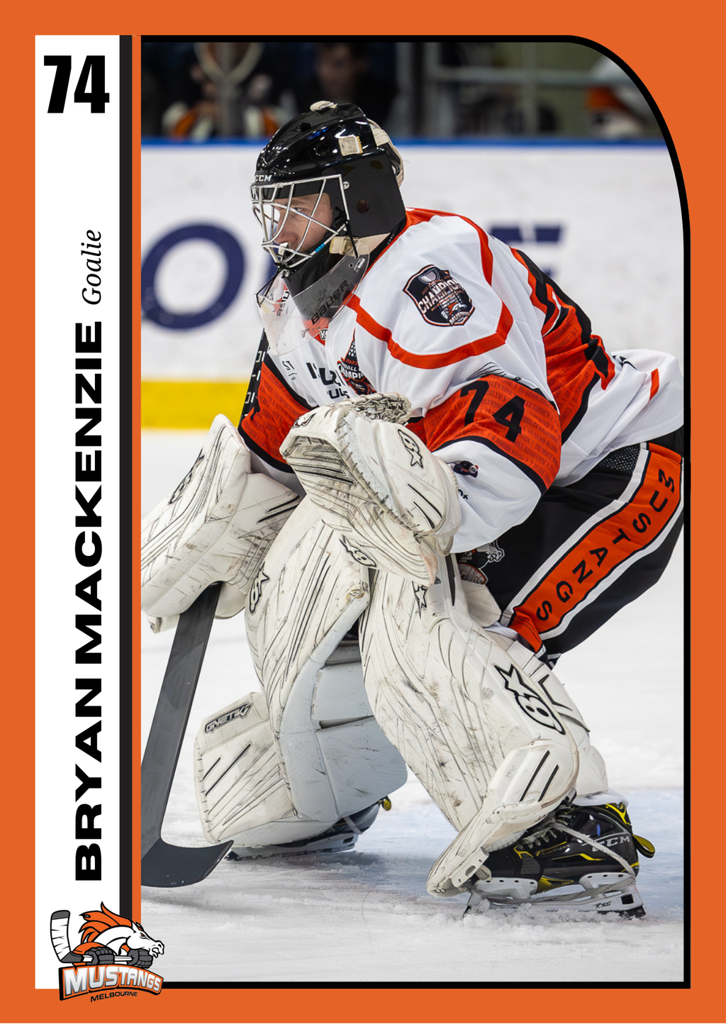 Player Trading Card COMPLETE SET with Bonus Set
