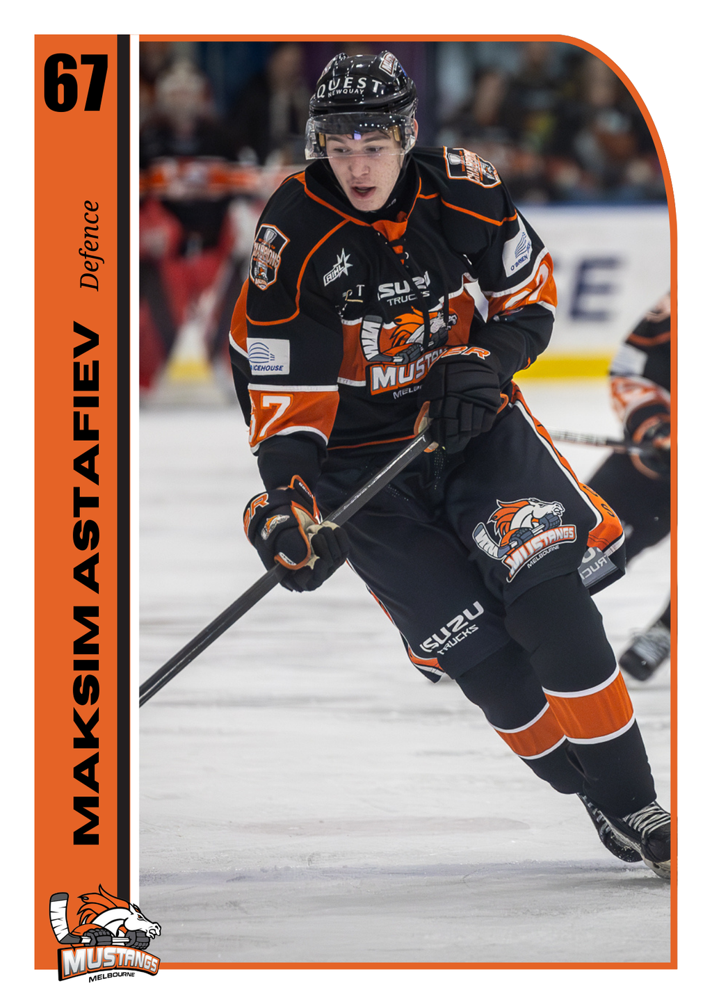 Player Trading Card COMPLETE SET with Bonus Set