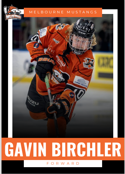2025 Player Trading Cards