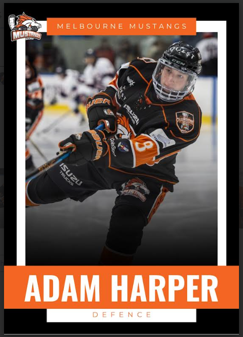 2025 Player Trading Cards