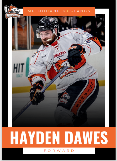 2025 Player Trading Cards