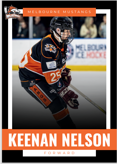 2025 Player Trading Cards