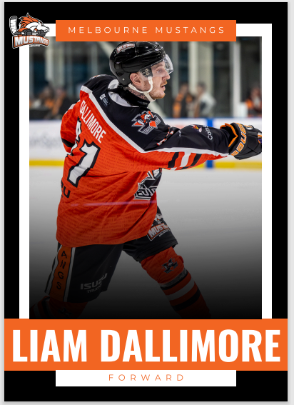 2025 Player Trading Cards