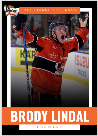 2025 Player Trading Cards