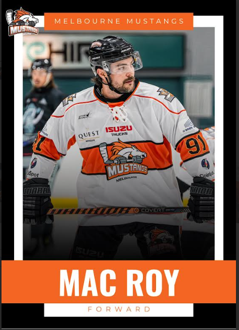 2025 Player Trading Cards