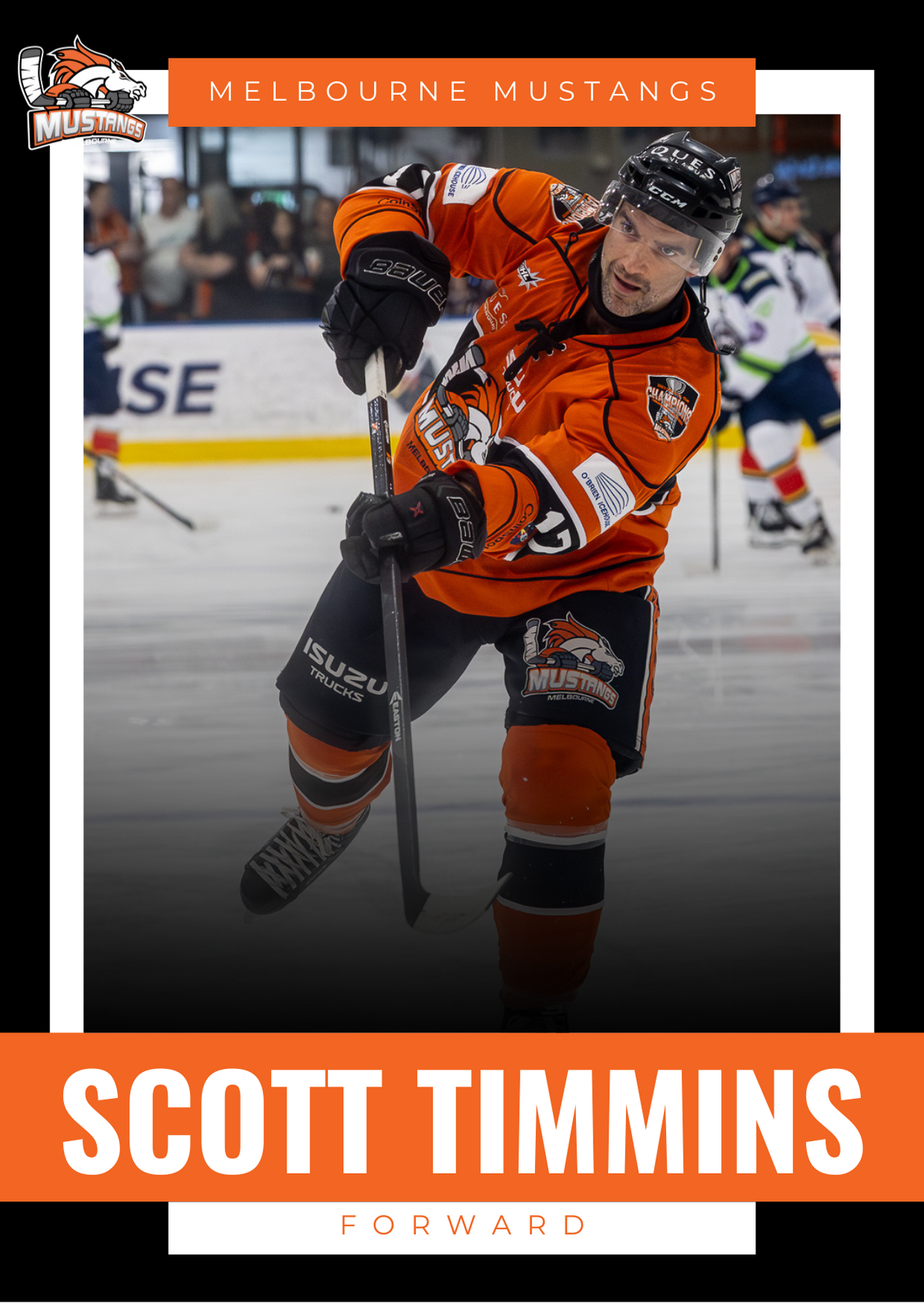 2025 Player Trading Cards