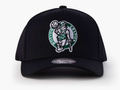 CELTICS TEAM LOGO CAP