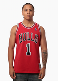 2008 BULLS ROSE JERSEY