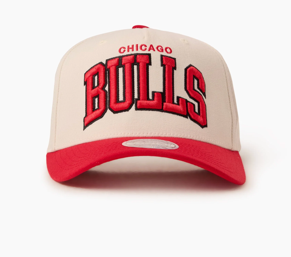 TEAM ARCH 110 BULLS CAP