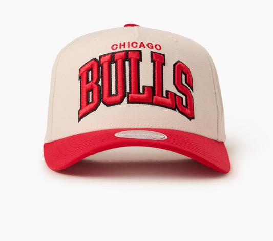 TEAM ARCH 110 BULLS CAP