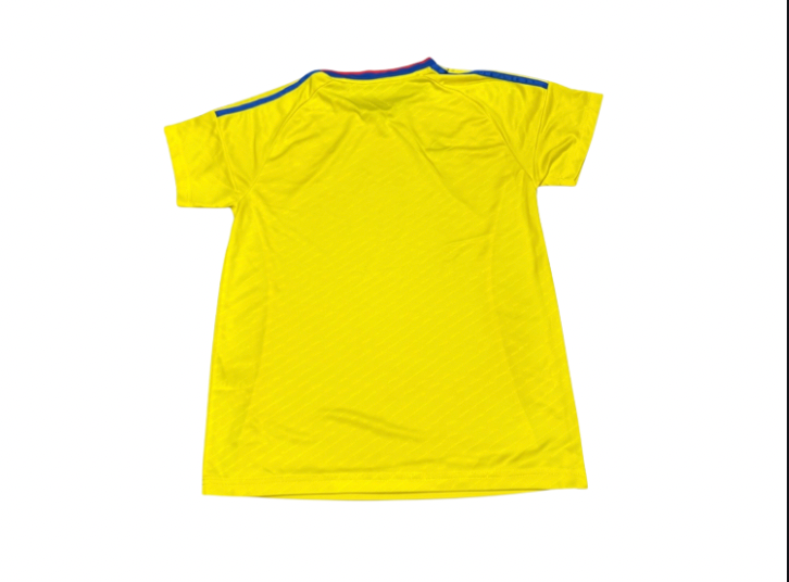 COLOMBIA RETRO JERSEY