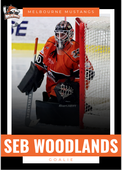 2025 Player Trading Cards