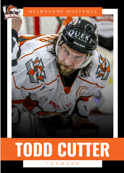 2025 Player Trading Cards