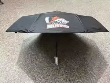 Umbrella Compact