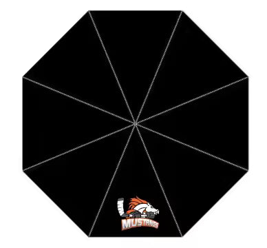 Umbrella Compact