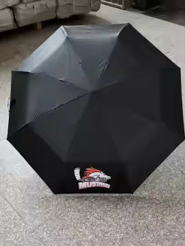 Umbrella Compact