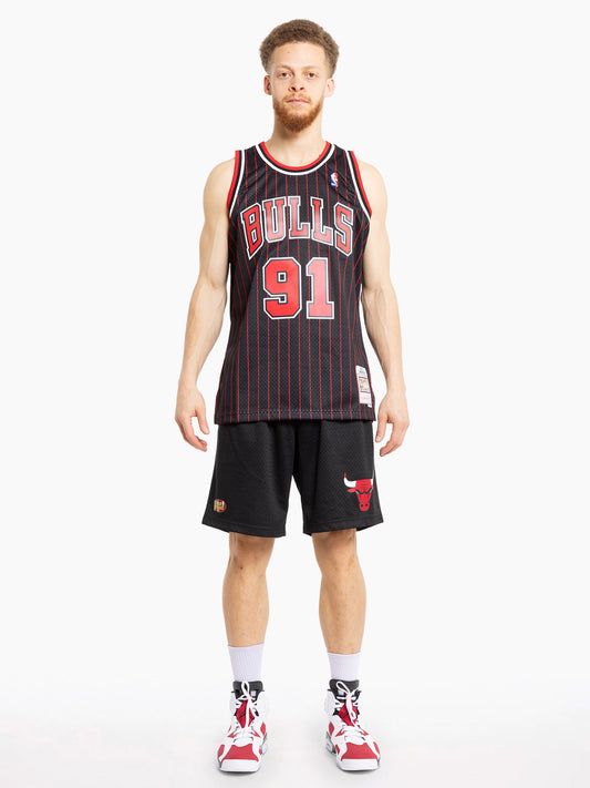 ALTERNATE  95 BULLS RODMAN JERSEY