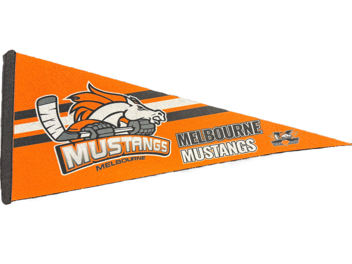 Pennant Flag