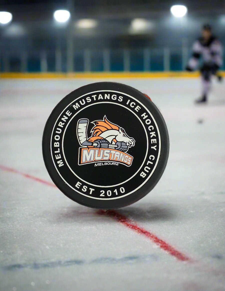15 YR Game Puck