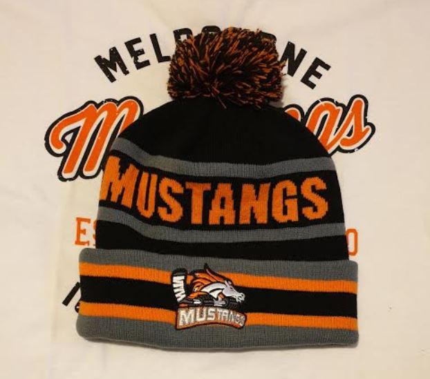 Allegiance Beanie